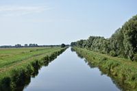 De schoonheid van de ellende