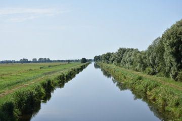 De schoonheid van de ellende van Philipp Klassen