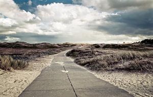 dunes - dünen van Vera Kämpfe