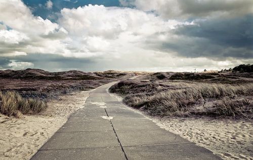 dunes - dünen by Vera Kämpfe