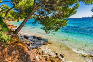 Blick auf die Bucht von Platja de Formentor, idyllischer Strand auf Mallorca, Spanien, Mittelmeer