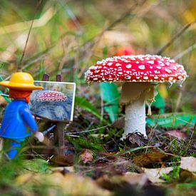 Vincent van Gogh & fly agaric by Noud de Greef