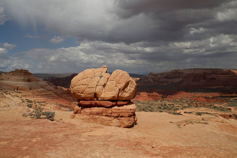 Rotsformaties in de North Coyote Buttes, deel van het Vermilion Cliffs National Monument. Dit gebied van Frank Fichtmüller