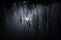 Dreamy Drowning Darkness