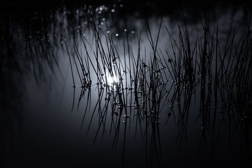 Dreamy Drowning Darkness by audreyhoubenfotografie