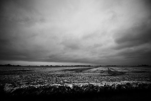 Spooky Meadow by Edgar Lanting