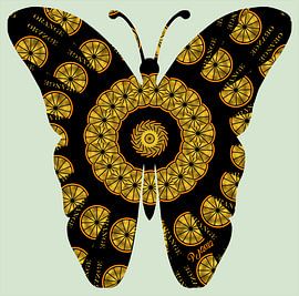 Orange Butterfly by Petra Nawrath