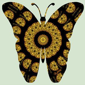 Oranje vlinder van Petra Nawrath
