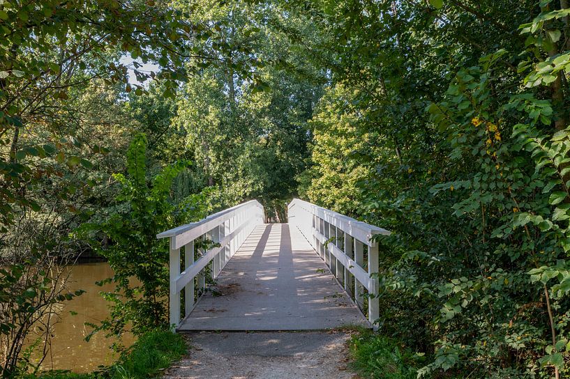 Veldpark Zaandam van Peter Bartelings