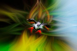 Puffin fantasy by Andrew George