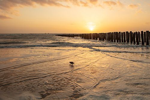 salt-eland-sealand sunset
