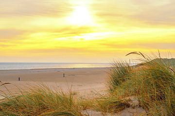 Zonsopgang in de duinen bij van eiland Texel in de Waddenzee