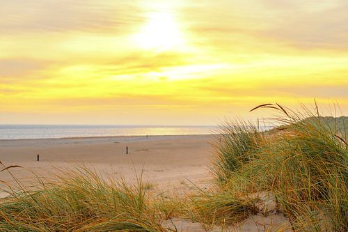 Lever de soleil dans les dunes de l'île de Texel dans la région de la mer des Wadden