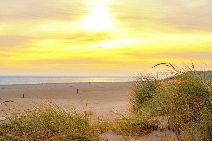 Sonnenaufgang in den Dünen der Insel Texel in der Wattenmeerregion von Sjoerd van der Wal Fotografie