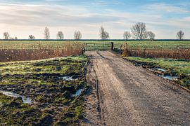 Access road to a field by Ruud Morijn