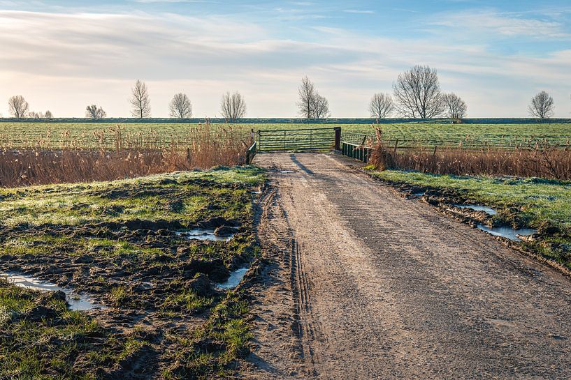 Zufahrtsstraße zu einem Feld von Ruud Morijn