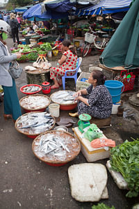 Fischverkauf auf einem Markt in Vietnam