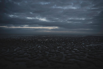 Petits matins sur la mer des Wadden