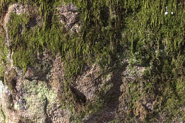 Rock Structures No. 06