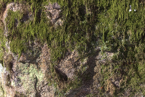Rock Structures No. 06