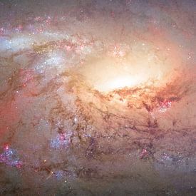 Hart van een sterrenstelsel van André van der Hoeven