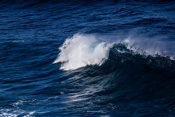 Rolling wave on the ocean by Eric van Nieuwland