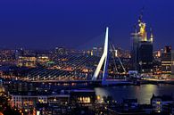Rotterdam by night. van Tilly Meijer thumbnail