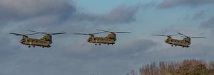 Royal Air Force Boeing CH-47F Chinooks. sur Jaap van den Berg