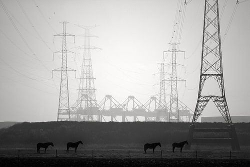 Threat to the port of Antwerp