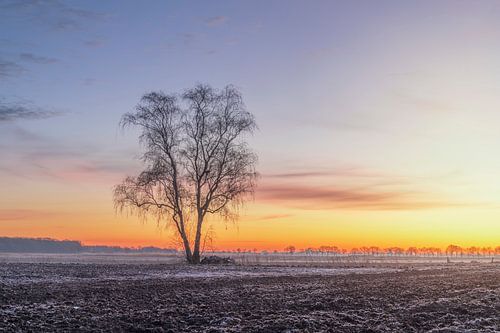 Winterse Zonsopkomst