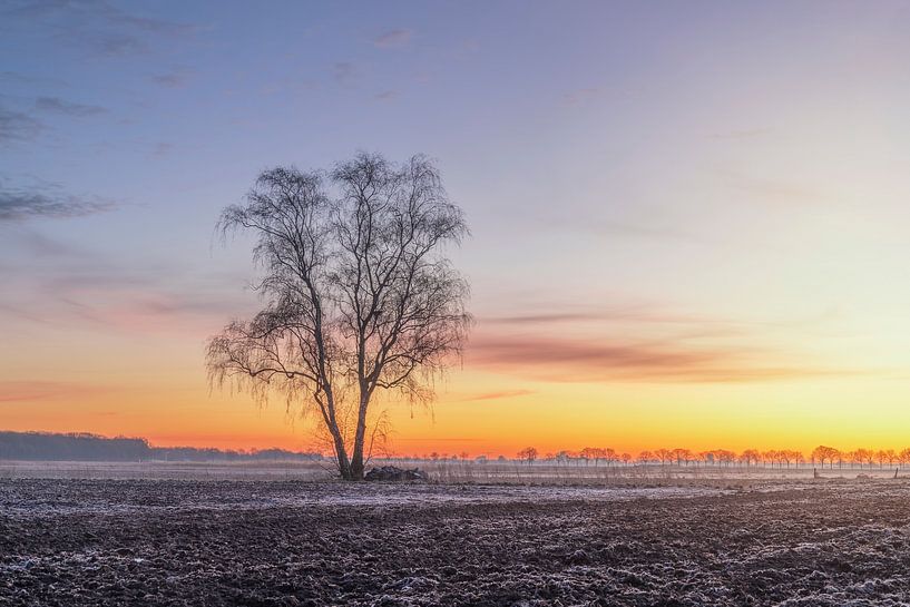 Winter Sunrise by Zwoele Plaatjes