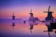 Windmühlen auf der Zaanse Schans von Peter de Jong Miniaturansicht