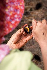 The Haenyeo’s Harvest by Milene van Arendonk