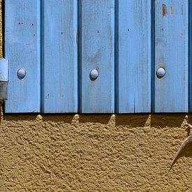 Der Salamander und die blauen Fensterläden von Foto Amsterdam/ Peter Bartelings