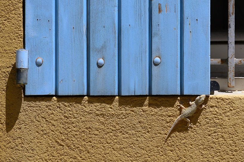 The salamander and the blue window shutter by Peter Bartelings