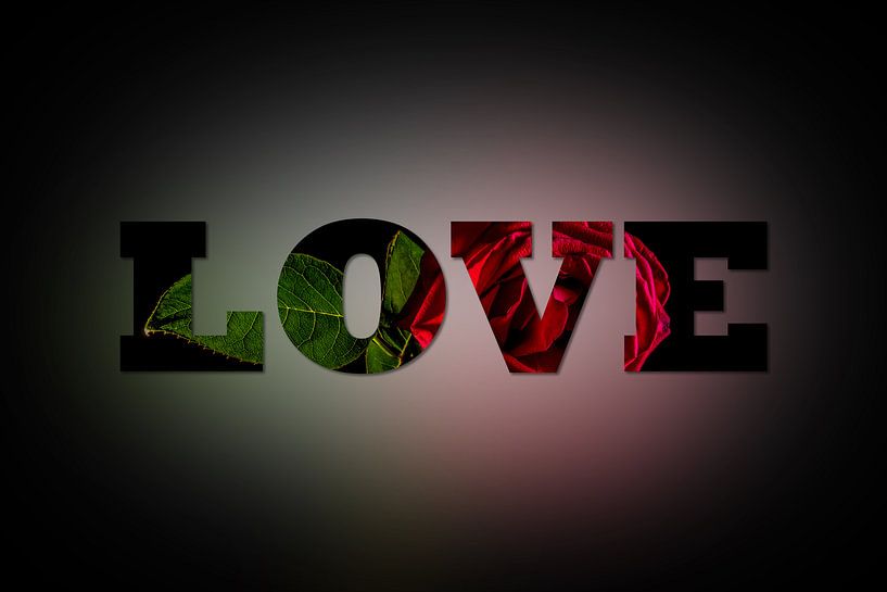 Rose in love by Patrick Herzberg