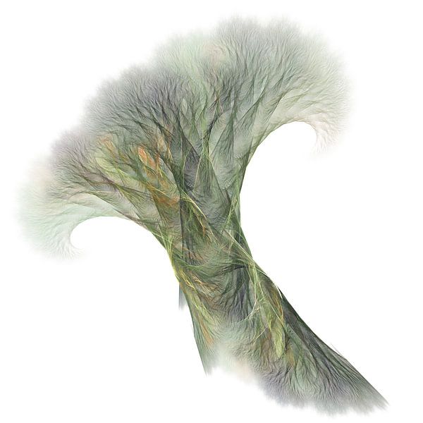 Bomen of Wortels? von Jasper de Brouwer