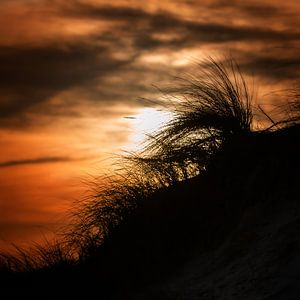 Sonnenaufgang Texel