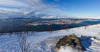 Tromsø bay panorama van Paul Dings thumbnail
