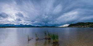 Hopfen am See