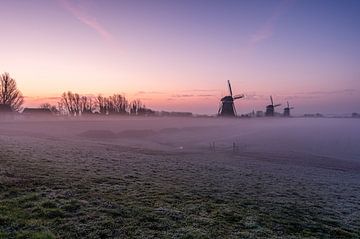 Atmospheric misty sunrise at Leidschendam mills by Gijs Rijsdijk