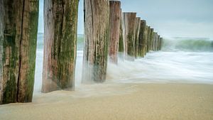 Wellenbrecher mit Holzpfählen am Strand in Zeeland