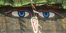 buddhas blaue augen