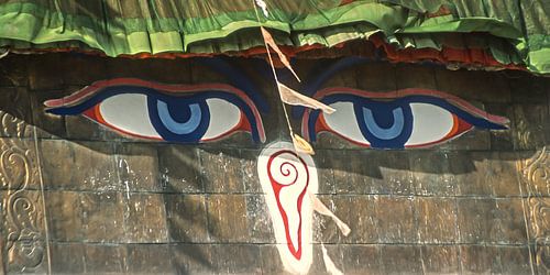 boeddha's blauwe ogen