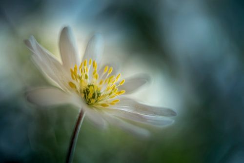 Light in the darkness