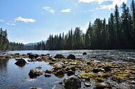 Rivier in Canada, wildernis in Wells Gray Nationaal Park van Jutta Klassen thumbnail