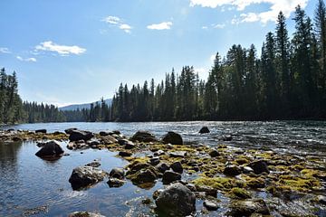 Rivier in Canada, wildernis in Wells Gray Nationaal Park