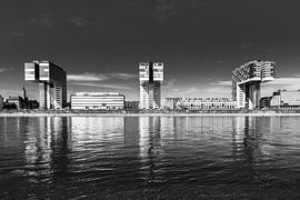 Köln Kranhäuser von Frank Herrmann