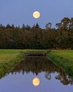 Full moon with reflection, Netherlands by Adelheid Smitt thumbnail