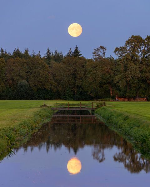 Full moon with reflection, Netherlands by Adelheid Smitt